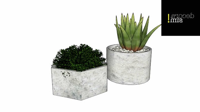 瓦西诺斯混凝土 sketchup植物模型 第1张