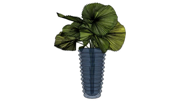 利库拉 sketchup植物模型 第1张
