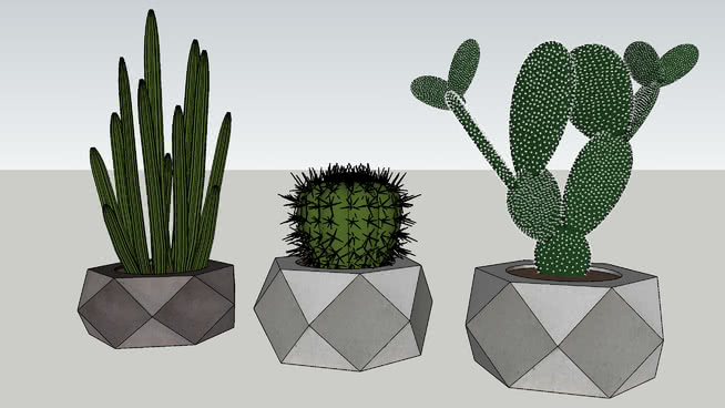 卡科托斯 sketchup植物模型 第1张