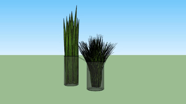 玻璃花瓶简单的圣乔治和植被刀 sketchup植物模型 第1张