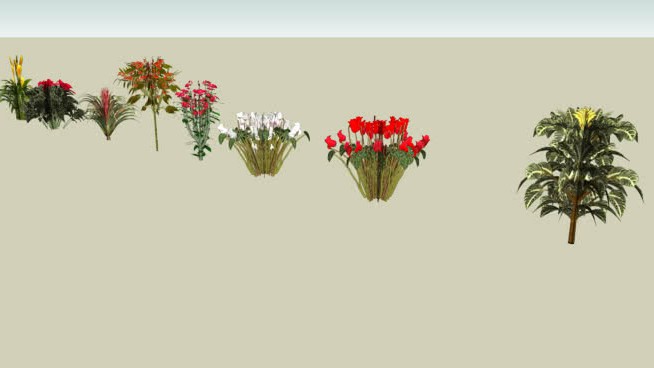 植物外观 sketchup植物模型 第1张