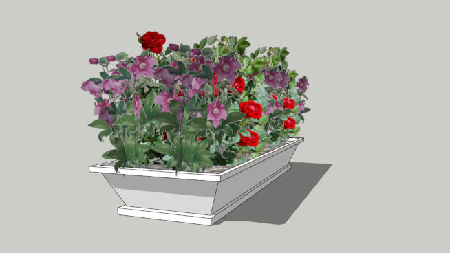 花坛 sketchup植物模型 第1张