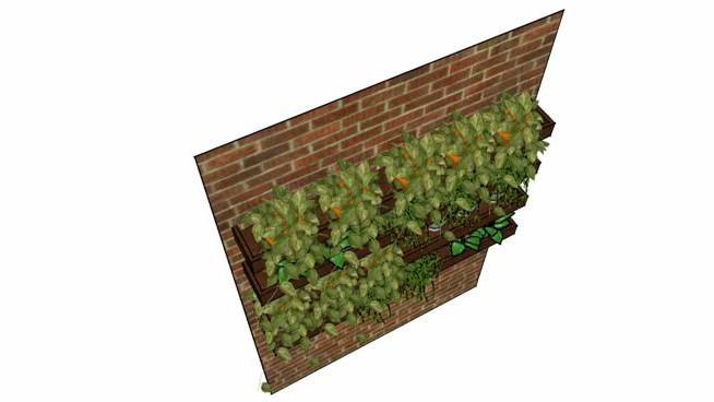 植物墙和货架 sketchup植物模型 第1张
