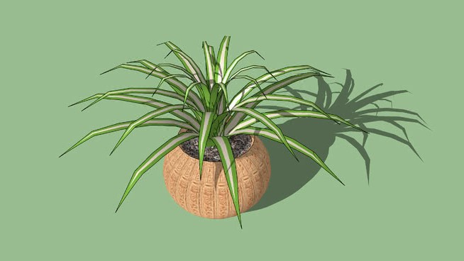 变压植物 sketchup植物模型 第1张