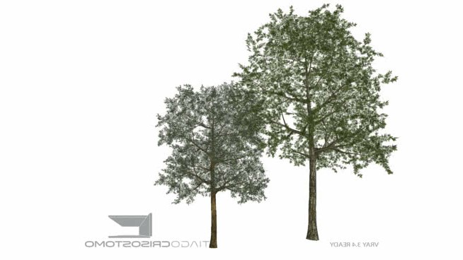 Árvores tunadas -第1部分 sketchup植物模型 第1张