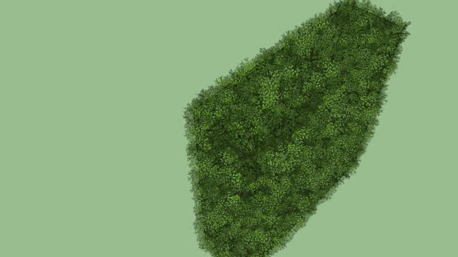 黄杨树篱 sketchup植物模型 第1张