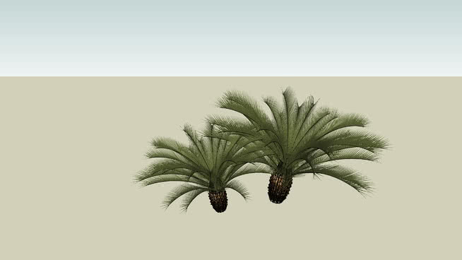轮回 sketchup植物模型 第1张