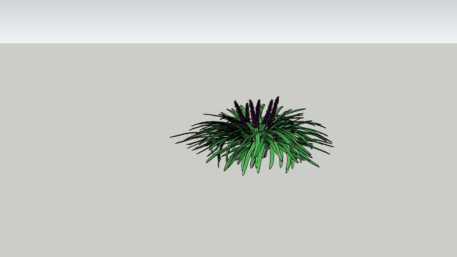 麦冬变异1L01 sketchup植物模型 第1张