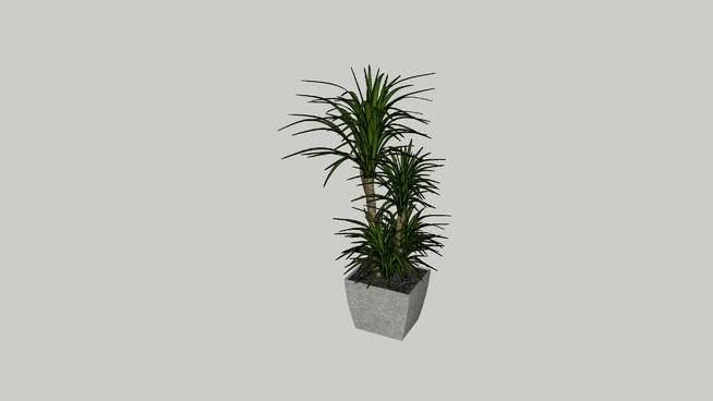 N-PANTRONE8 sketchup植物模型 第1张