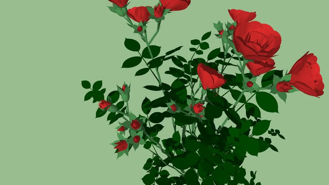 玫瑰红 sketchup植物模型 第1张