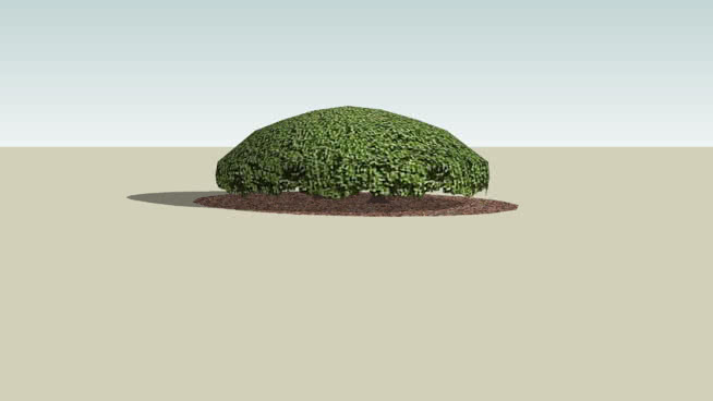 灌木2 sketchup植物模型 第1张