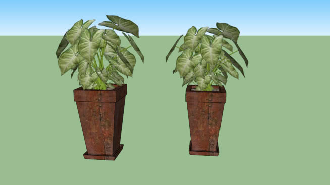 Singrón - Snonium Angototm杯 sketchup植物模型 第1张