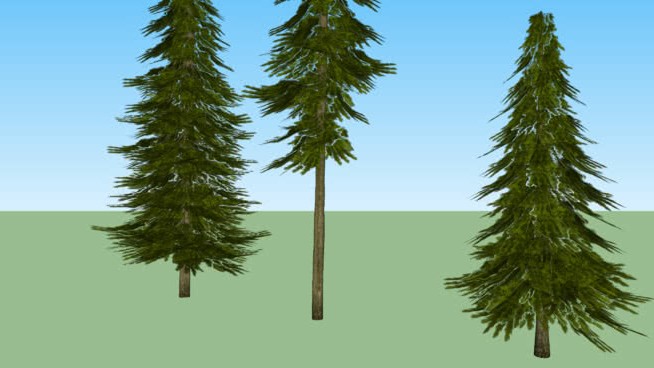 林地树木群落 sketchup植物模型 第1张
