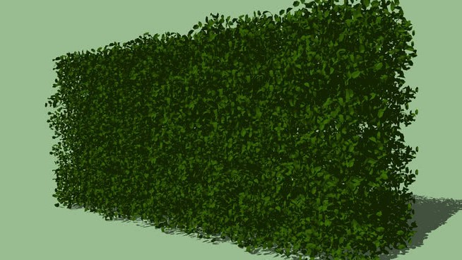 树篱 sketchup植物模型 第1张