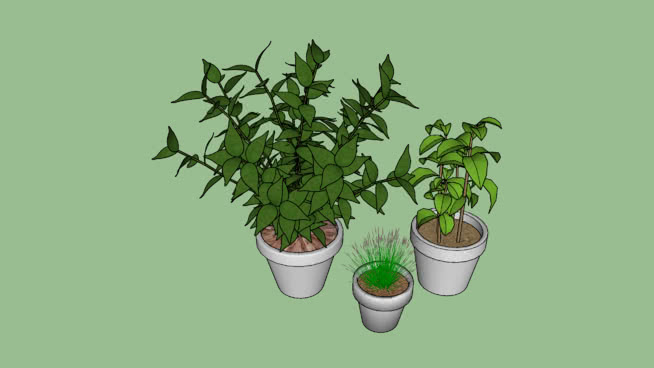 盆栽植物 sketchup植物模型 第1张