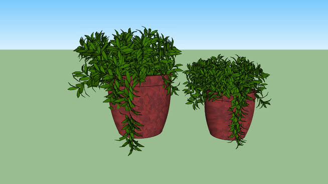 康尚托瓦辛霍斯 sketchup植物模型 第1张