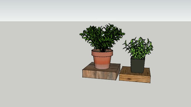 Erva Vasos 3 sketchup植物模型 第1张