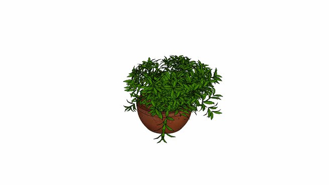 N-Prtuth4 sketchup植物模型 第1张