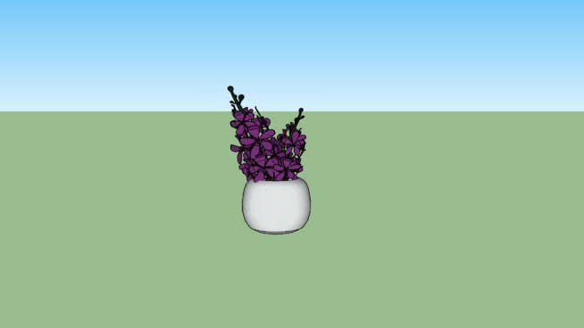 瓦西尼奥弗洛尔罗克萨 sketchup植物模型 第1张
