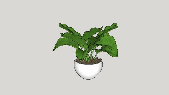 弗洛雷斯 sketchup植物模型 第1张