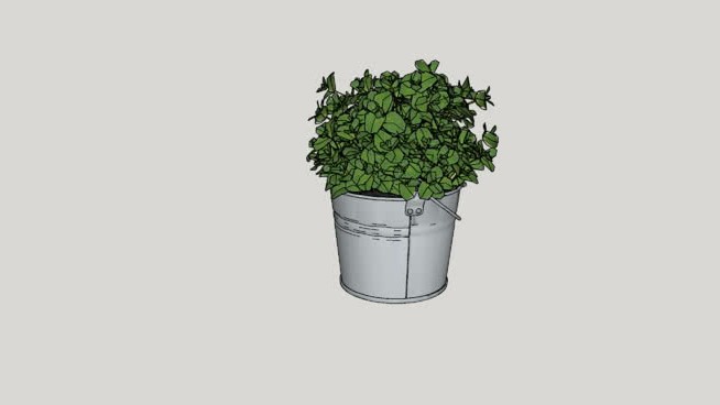 弗洛雷斯 sketchup植物模型 第1张