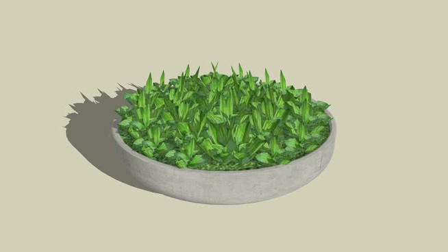 杯子植物装饰 sketchup植物模型 第1张