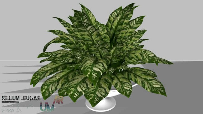 树 sketchup植物模型 第1张