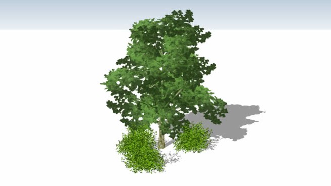集合A和B的2.5D树 sketchup植物模型 第1张