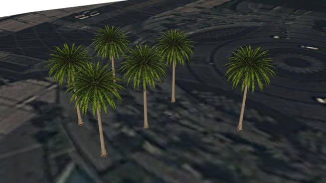哈里发塔园A迪拜棕榈 sketchup植物模型 第1张