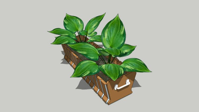 花盆 sketchup植物模型 第1张
