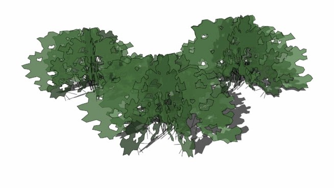 矮灌丛 sketchup植物模型 第1张