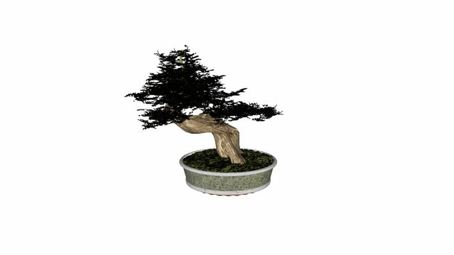 盆景 sketchup植物模型 第1张